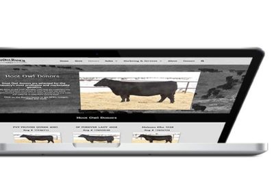 Hoot Owl Ranch | Web Design, eCommerce